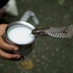 image 750x500 612500e3d7294