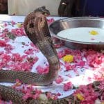 image 870x580 66a39a44d0d53