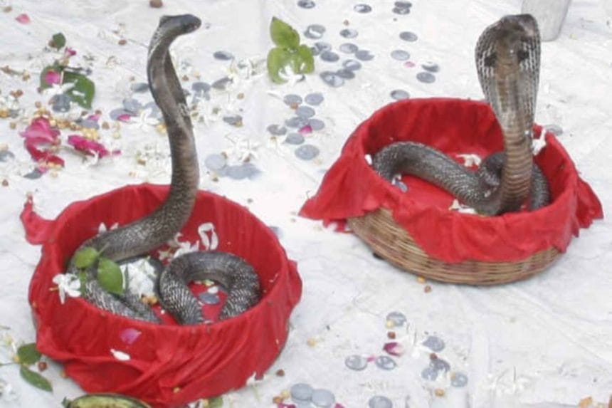 image 870x580 66b5afeabaa62