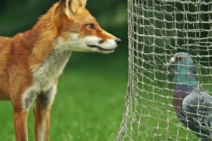 image 870x580 66c84ed1ac7ff