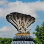 image 870x580 685e59875bfb6