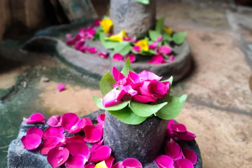 image 870x580 6863c0977c810